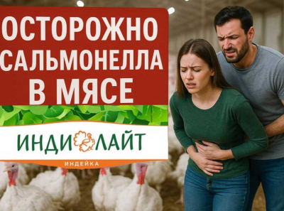 Массовые отравления мясом индейки ИНДИЛАЙТ: компания Дамате под управлением Тахира Хамитова замалчивает вспышки сальмонеллёза