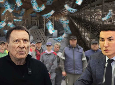 600 миллионов за экспертизу: кто и зачем преследует оценщика в деле костанайской птицефабрики