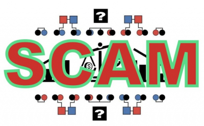 Новые каналы опасных мошенников: Draxia, Liravon, Bivon, Kavix