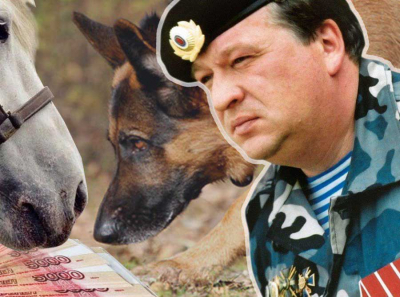 Экс-начальник ОМОНа Сергей Резвый ищет бомбы в конском навозе. За 4,5 млн бюджетных рублей