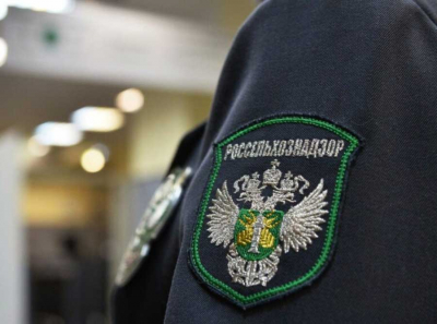 Как экс-глава Россельхознадзора Дагестана украл 1,7 миллиона на мертвых душах — история позора